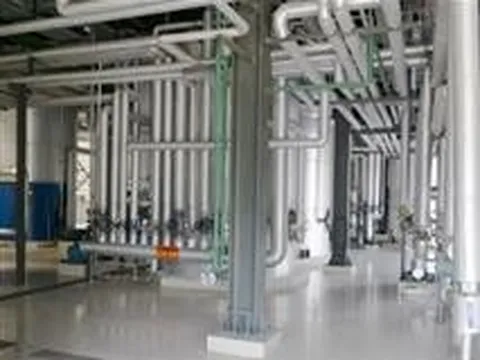 Đổi mới công nghệ nâng tầm giá trị cá tra Việt Nam