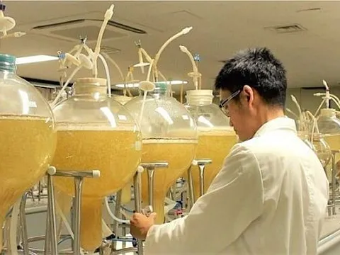 Nghiên cứu dược chất thay thế được dược liệu tự nhiên quý hiếm