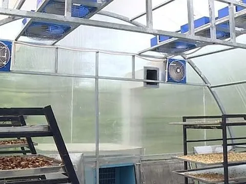 Nghiên cứu ứng dụng công nghệ sấy trong bảo quản nông sản