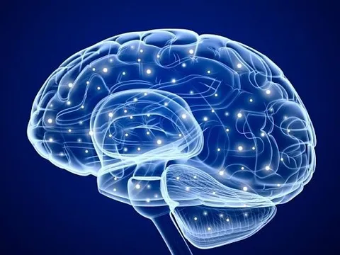Khám phá cấu trúc mảng bám amyloid hình kẹp tóc gợi ý về vắc xin phòng bệnh Alzheimer