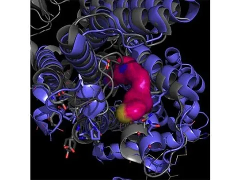 Phát triển loại thuốc mới để điều trị bệnh Parkinson