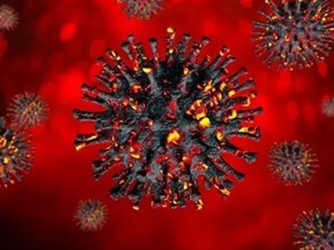 WHO: Chưa đủ dữ liệu đánh giá toàn diện độc lực Omicron