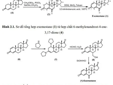 Nghiên cứu quy trình tổng hợp nguyên liệu thuốc điều trị ung thư Exemestane