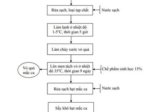 Nghiên cứu ứng dụng công nghệ sinh học để sản xuất một số loại thực phẩm và thức ăn chăn nuôi từ quả mắc ca