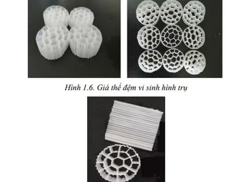 Nghiên cứu chế tạo giá thể vi sinh đa định dạng từ vật liệu polyme ứng dụng trong xử lý nước thải bằng công nghệ MBBR