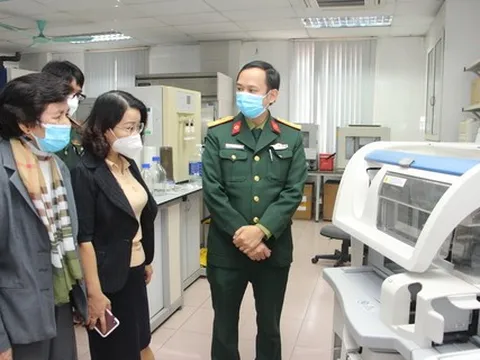 Hoạt chất hỗ trợ điều trị bệnh Alzheimer từ cây Thạch tùng răng cưa