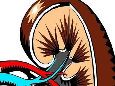 Suy thận ảnh hưởng đến tuổi thọ của phụ nữ nhiều hơn nam giới