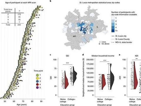 Các nhà nghiên cứu xác định dấu ấn sinh học mới của bệnh Alzheimer