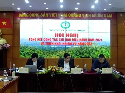 Năm 2021, xuất khẩu đồ gỗ và lâm sản xác lập kỷ lục mới