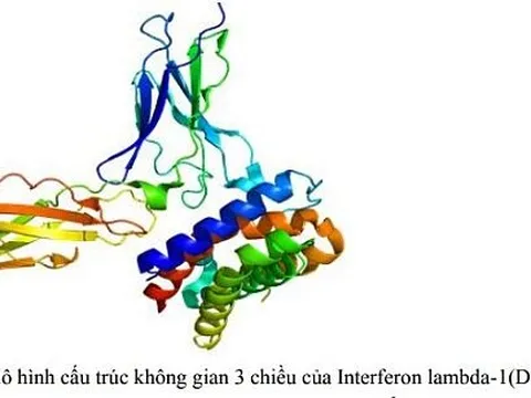 Nghiên cứu ứng dụng công nghệ sinh học để sản xuất thuốc peginterferon lambda 1, pegfilgrastim đạt tiêu chuẩn châu Âu
