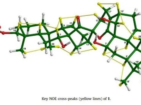 Nghiên cứu tác dụng chống viêm và chống ung thư của một số cây thuốc dân gian Việt Nam