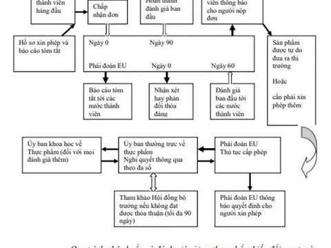 Nghiên cứu đề xuất các giải pháp tăng cường quản lý nhà nước về chất lượng sản phẩm, hàng hóa