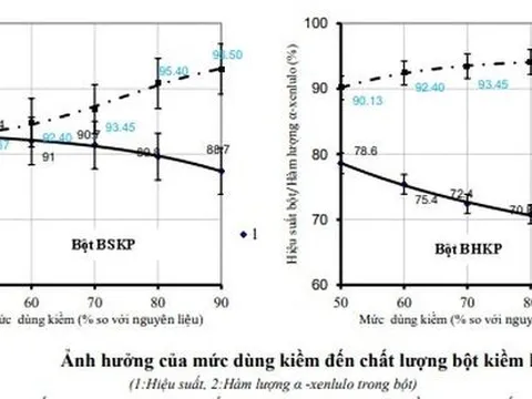 Nghiên cứu công nghệ chế tạo giấy thấm sử dụng để kiểm tra độ hút nước của giấy