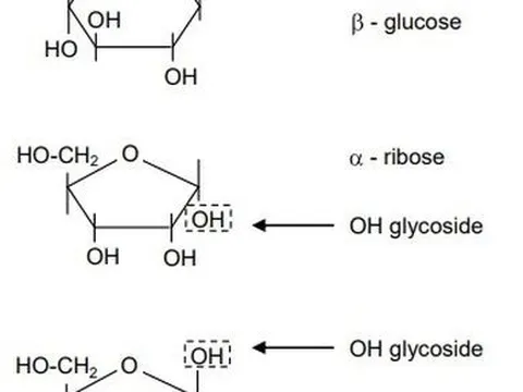 Nghiên cứu hoá học click của một số monosaccharide có chứa hợp phần dị vòng