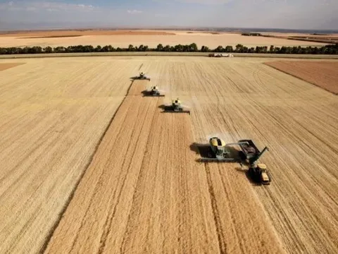 Nghiên cứu liên kết giữa canh tác công nghiệp lớn với mất đa dạng sinh học