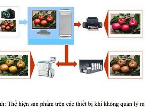 Nghiên cứu quản lý màu trong sản phẩm in chất lượng cao và đề xuất ứng dụng trong thực tế