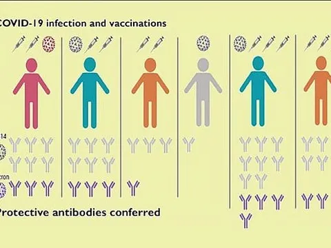 Nhiễm COVID-19 sau khi tiêm vắc xin tạo ra phản ứng kháng thể mạnh mẽ