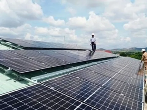 Thủ tướng yêu cầu nghiên cứu thành lập Trung tâm năng lượng tái tạo