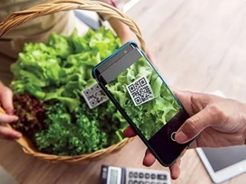 Cần có khung chính sách sát thực và nghiêm ngặt về truy xuất nguồn gốc