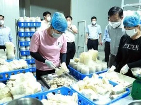 Phát triển nông nghiệp công nghệ cao theo hướng bền vững