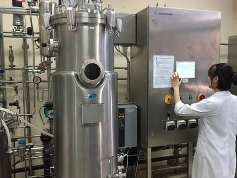 Sản xuất thực phẩm chức năng từ nấm Vân Chi: Áp dụng kỹ thuật lên men hiện đại