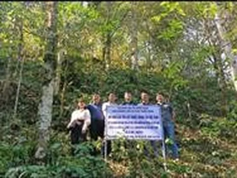 Kiểm tra các mô hình trồng cây Trọng lâu Việt Nam thuộc nhiệm vụ Quỹ gen cấp Quốc gia