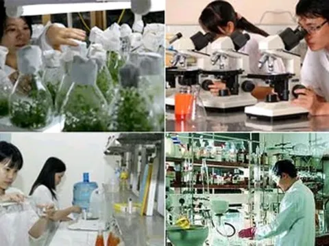 Yêu cầu đối với nhiệm vụ khoa học và công nghệ cấp quốc gia