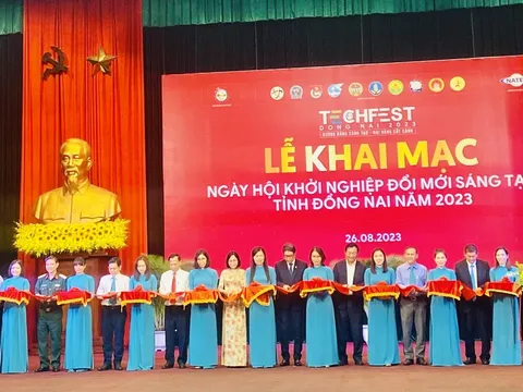 “Đường băng sáng tạo - Nai vàng cất cánh”