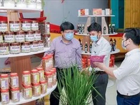 Ứng dụng thành công công nghệ chế biến bột dinh dưỡng từ gạo thảo dược