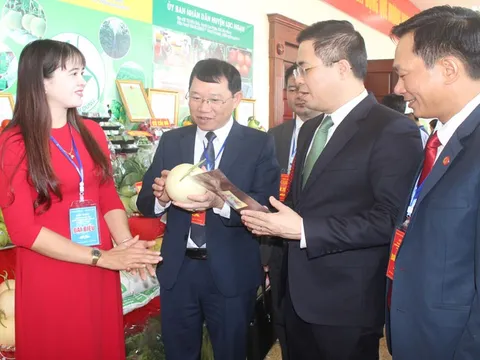 Nhìn lại 10 năm thi hành Luật Khoa học và Công nghệ: Bắc Giang đẩy mạnh ứng dụng các nhiệm vụ khoa học và công nghệ vào thực tiễn