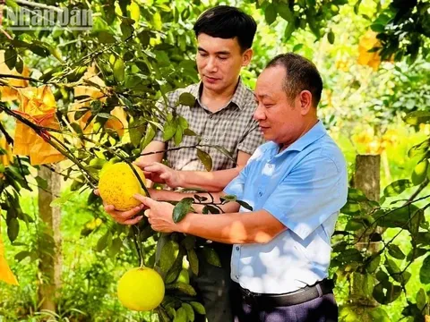 Hà Tĩnh tìm kiếm giải pháp thúc đẩy chuyển đổi số