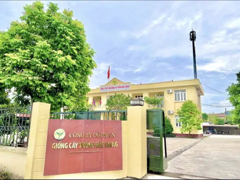 Công ty Cổ phần Giống cây trồng Bắc Giang (BAGISEED)  Góp phần nâng cao giá trị nông nghiệp Việt