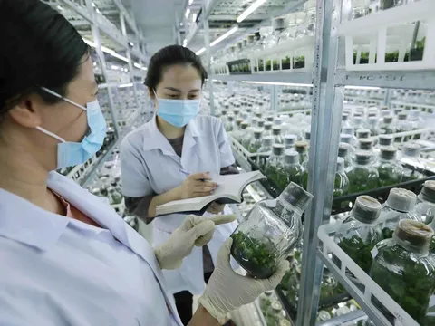 Linh hoạt, kịp thời trong tài trợ nghiên cứu khoa học