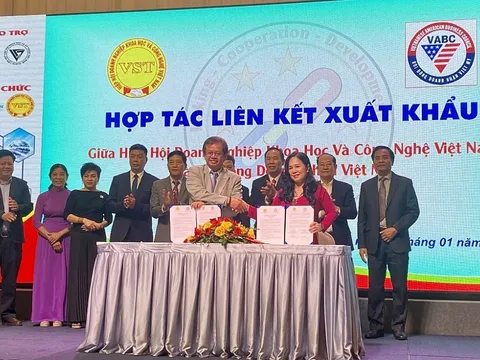 Tìm hướng đi cho hàng hóa Việt thâm nhập sâu vào thị trường Hoa Kỳ