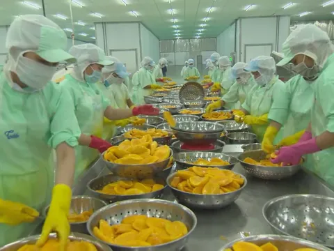 Giải pháp để doanh nghiệp Việt Nam khai thác hiệu quả thị trường Hoa Kỳ