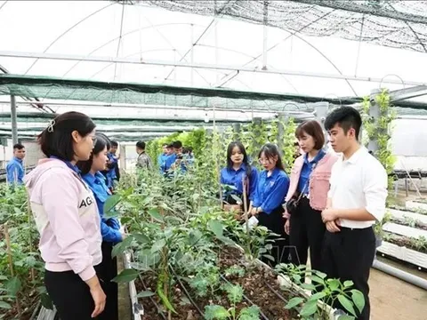 Tám tiêu chí dự án khoa học và công nghệ thuộc Chương trình công nghệ cao