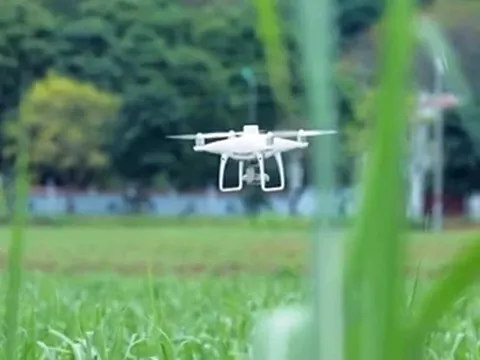 Việt Nam và Australia sẽ có bước tiến mới trong lĩnh vực khoa học và đổi mới sáng tạo