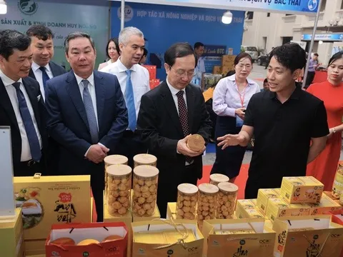 'Giấy thông hành' cho các sản phẩm xuất khẩu tiềm năng