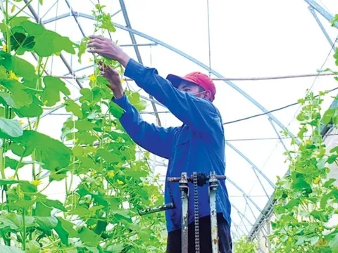 Việt Nam cần nâng cao trình độ khoa học công nghệ trong nông nghiệp