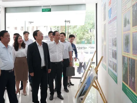 Xây dựng, thí điểm chính sách phát triển KH&CN trong lĩnh vực nông nghiệp