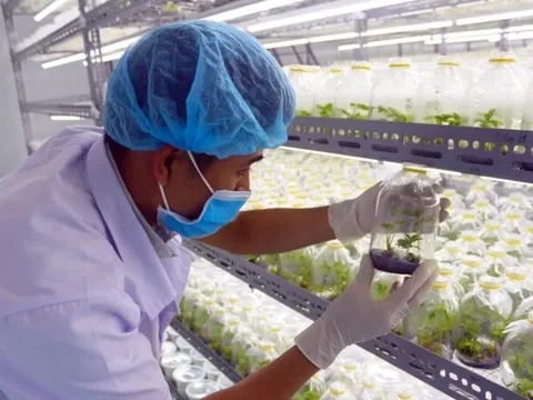 Hoàn thiện cơ chế chấp nhận rủi ro trong nghiên cứu khoa học