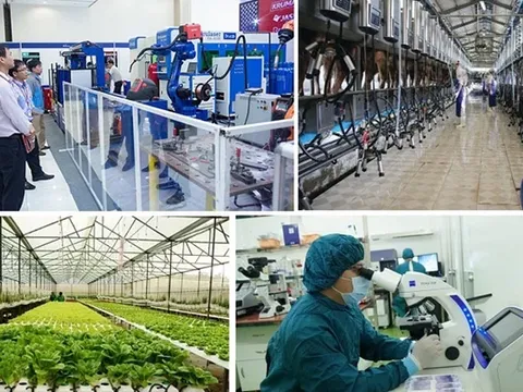 Thúc đẩy nghiên cứu khoa học: 'Chìa khóa' phát triển kinh tế tri thức, chuyển đổi xanh