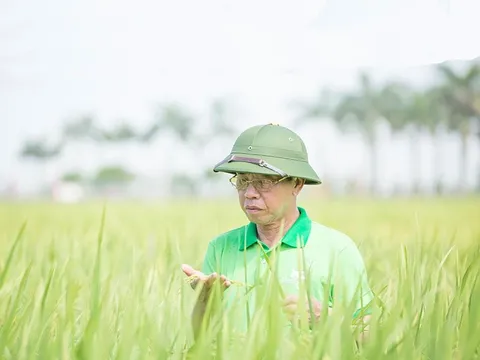 Những sáng kiến bảo vệ môi trường thắng giải Vifotec 2023