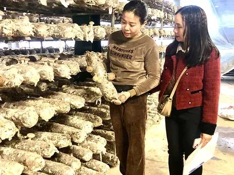 Tăng giá trị nông sản nhờ áp dụng khoa học-công nghệ