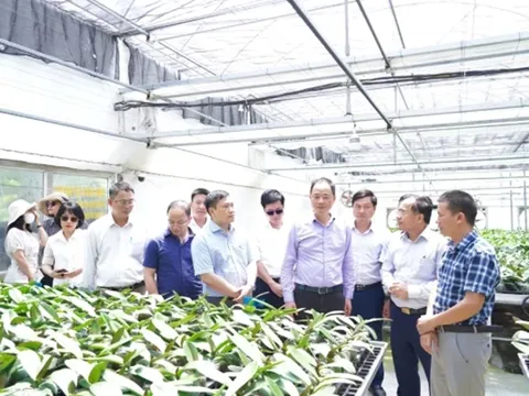 Hà Tĩnh: Hoạt động KH&CN phát triển chưa tương xứng với tiềm năng