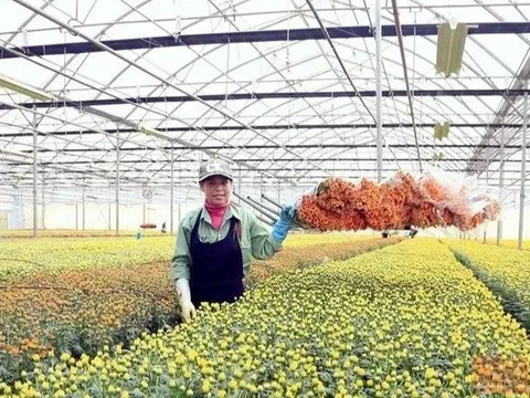 Giải bài toán đầu tư cho đổi mới khoa học công nghệ trong nông nghiệp