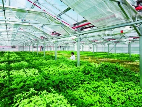 Thanh Hóa: Sản xuất nông nghiệp áp dụng công nghệ số