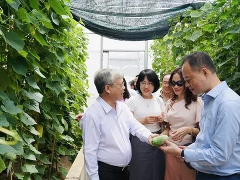 Thứ trưởng Trần Hồng Thái thăm, làm việc tại một số tổ chức, doanh nghiệp KH&CN tỉnh Bình Định