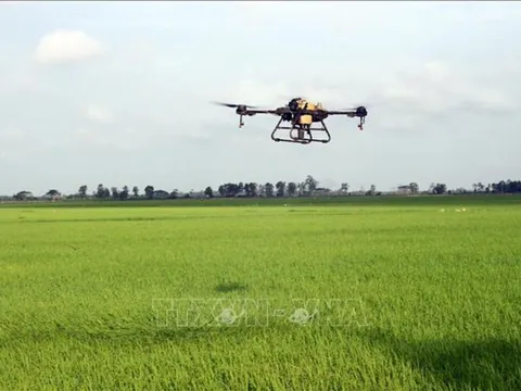 Khoa học - công nghệ thúc đẩy phát triển bền vững Đồng bằng sông Cửu Long