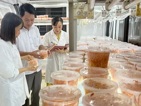 Thúc đẩy khoa học, công nghệ và đổi mới sáng tạo